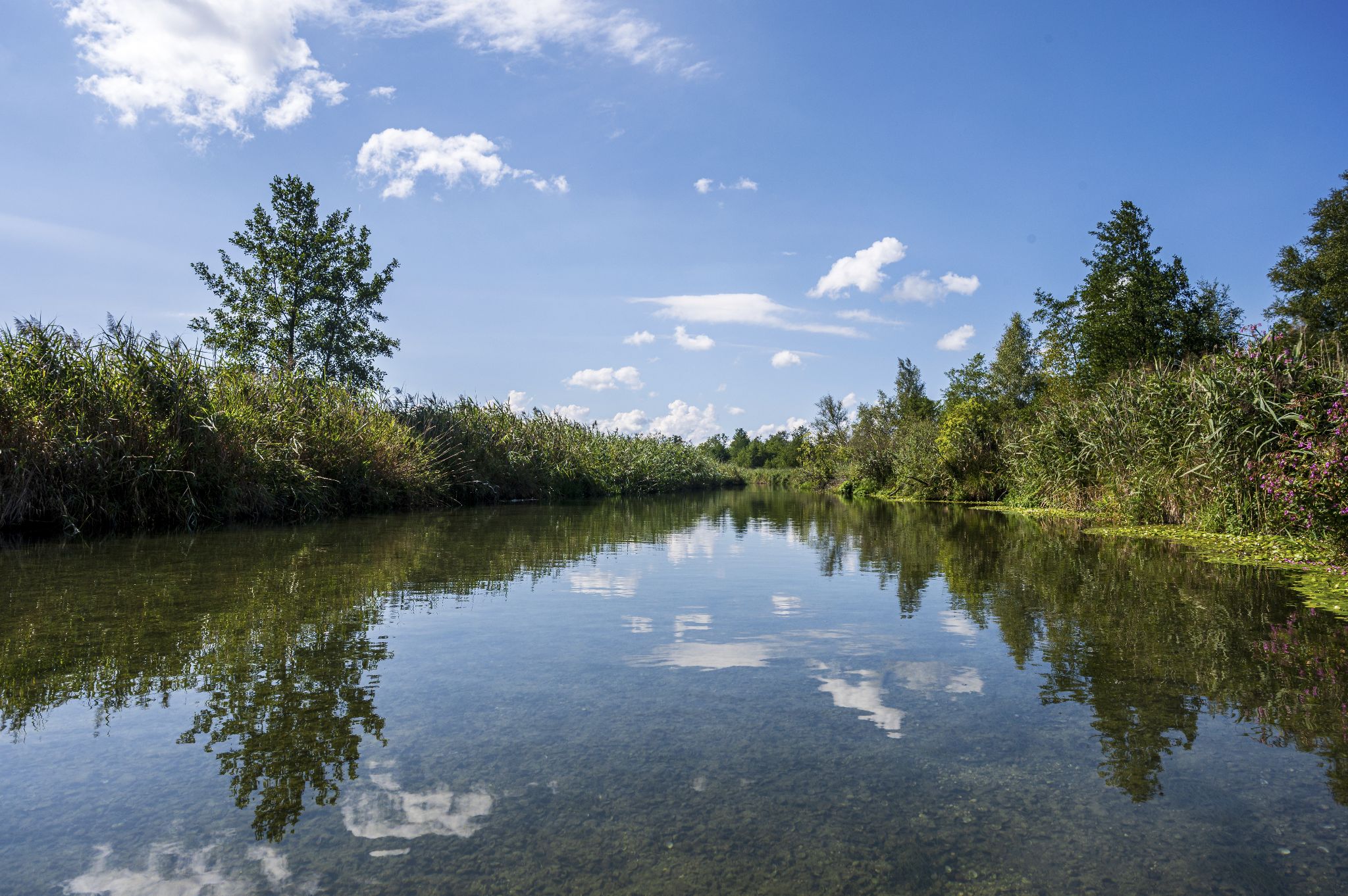 Kajaktour Leutstettner Moos 21.08.2022